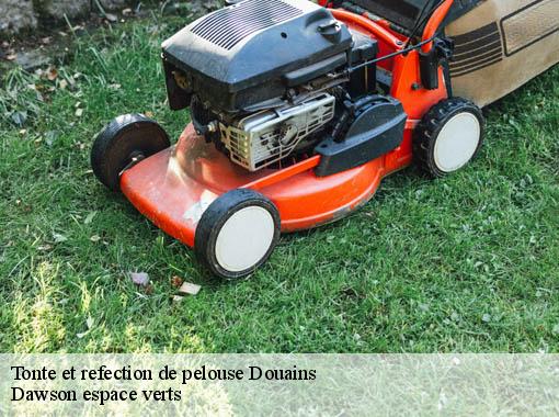 Tonte et refection de pelouse douains-27120 Dawson espace verts