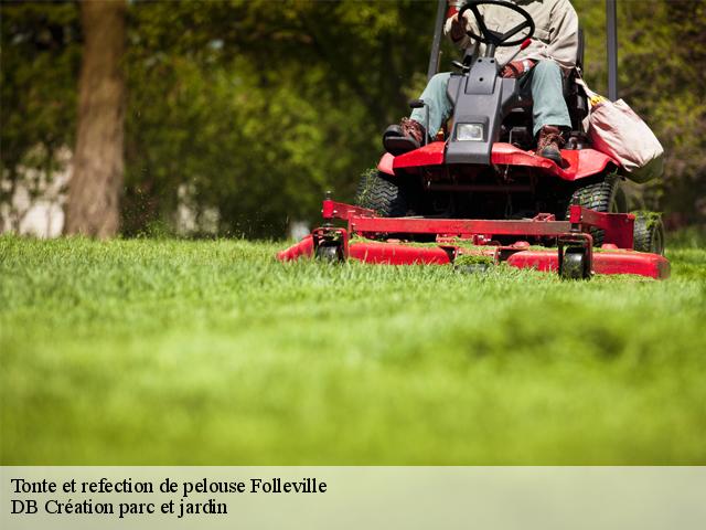 Tonte et refection de pelouse folleville-27230 DB Création parc et jardin