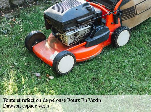 Tonte et refection de pelouse fours-en-vexin-27630 Dawson espace verts