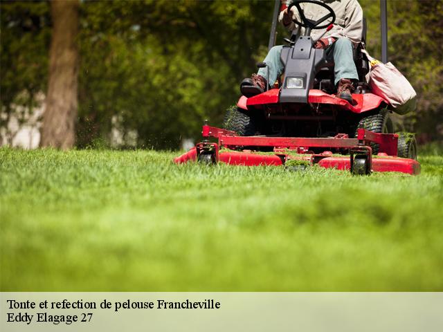 Tonte et refection de pelouse  francheville-27160 Eddy Elagage 27