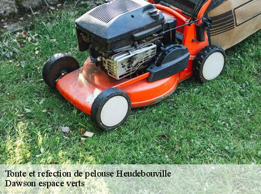 Tonte et refection de pelouse heudebouville-27400 Dawson espace verts