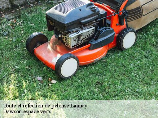 Tonte et refection de pelouse launay-27470 Dawson espace verts