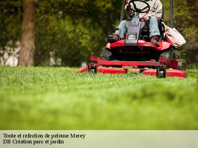 Tonte et refection de pelouse merey-27640 DB Création parc et jardin