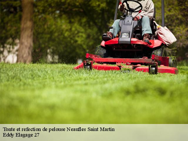 Tonte et refection de pelouse  neaufles-saint-martin-27830 Eddy Elagage 27