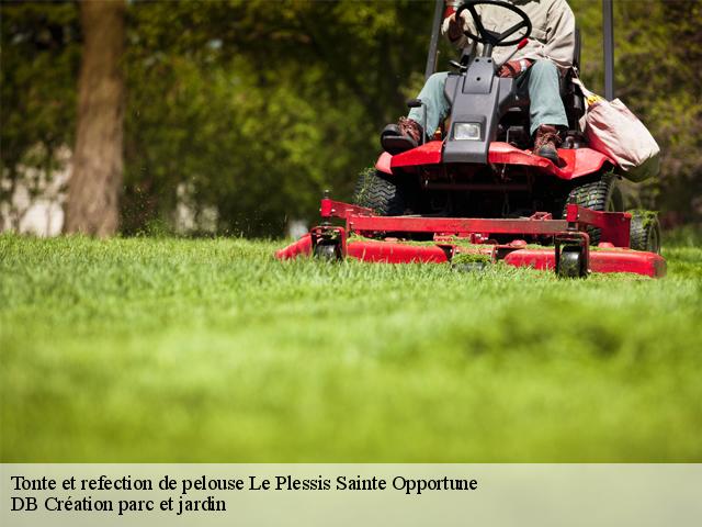 Tonte et refection de pelouse le-plessis-sainte-opportune-27170 DB Création parc et jardin