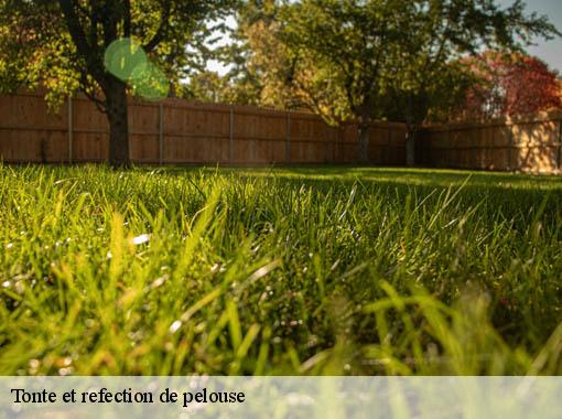 Tonte et refection de pelouse richeville-27420 Dawson espace verts