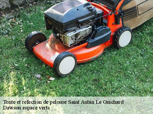 Tonte et refection de pelouse  saint-aubin-le-guichard-27410 Dawson espace verts