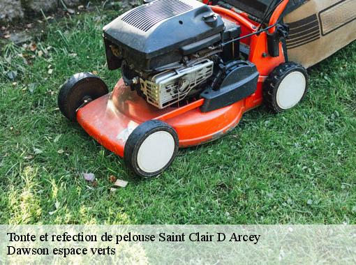 Tonte et refection de pelouse  saint-clair-d-arcey-27300 Dawson espace verts