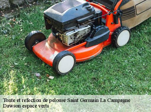 Tonte et refection de pelouse  saint-germain-la-campagne-27230 Dawson espace verts