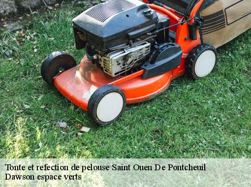 Tonte et refection de pelouse saint-ouen-de-pontcheuil-27370 Dawson espace verts