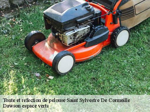 Tonte et refection de pelouse saint-sylvestre-de-cormeille-27260 Dawson espace verts