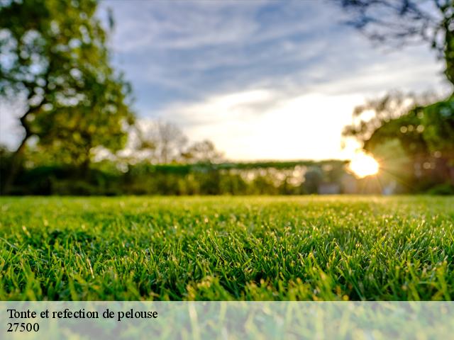 Tonte et refection de pelouse tocqueville-27500 DB Création parc et jardin