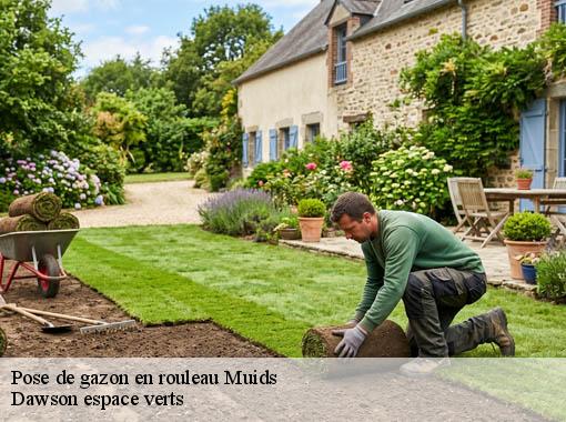 Pose de gazon en rouleau muids-27430 Dawson espace verts