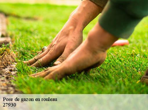 Pose de gazon en rouleau  saint-vigor-27930 Dawson espace verts