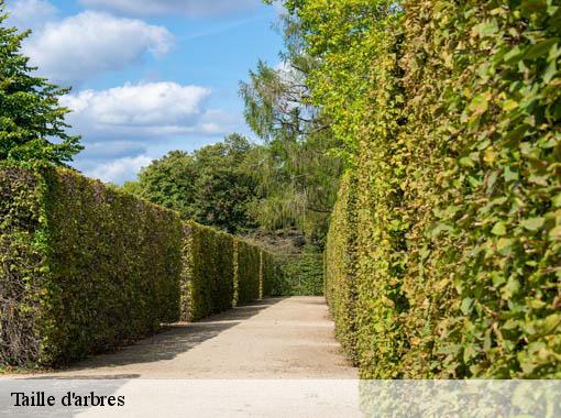 Taille d'arbres  les-bottereaux-27250 Dawson espace verts