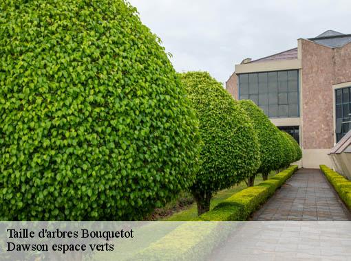 Taille d'arbres  bouquetot-27310 Dawson espace verts