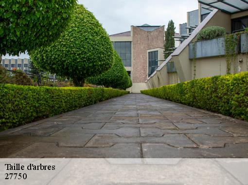 Taille d'arbres  la-couture-boussey-27750 Dawson espace verts