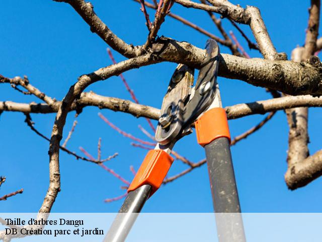 Taille d'arbres dangu-27720 DB Création parc et jardin