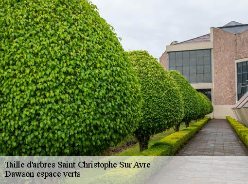 Taille d'arbres  saint-christophe-sur-avre-27820 Dawson espace verts