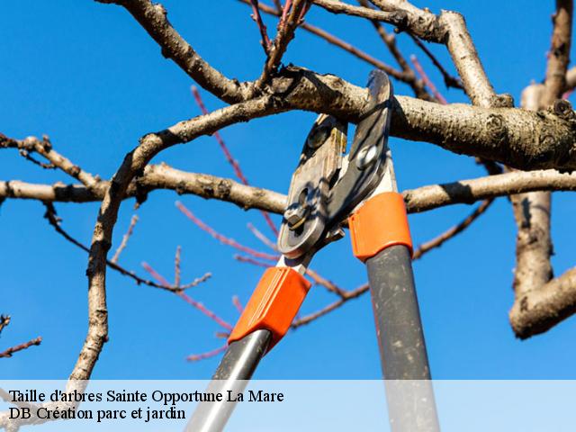 Taille d'arbres sainte-opportune-la-mare-27680 DB Création parc et jardin