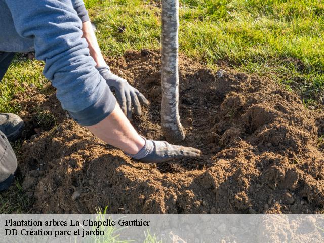 Plantation arbres  la-chapelle-gauthier-27270 DB Création parc et jardin