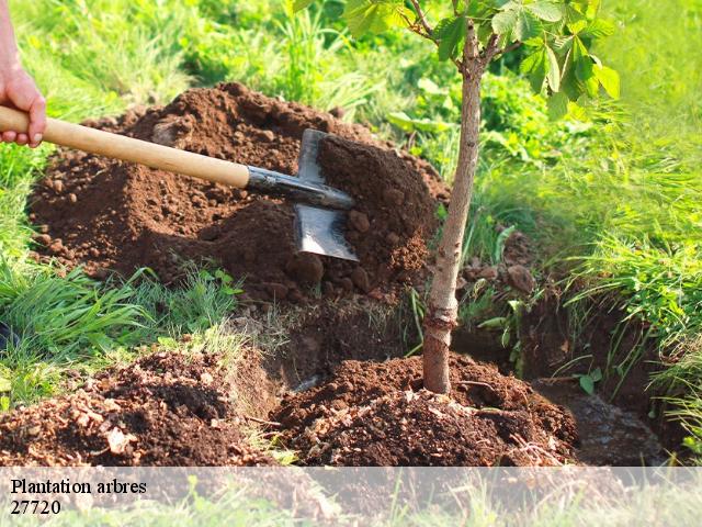 Plantation arbres dangu-27720 DB Création parc et jardin