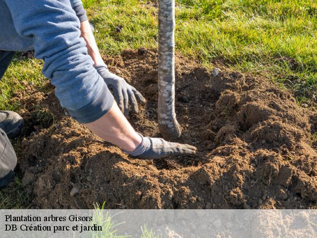Plantation arbres gisors-27140 DB Création parc et jardin