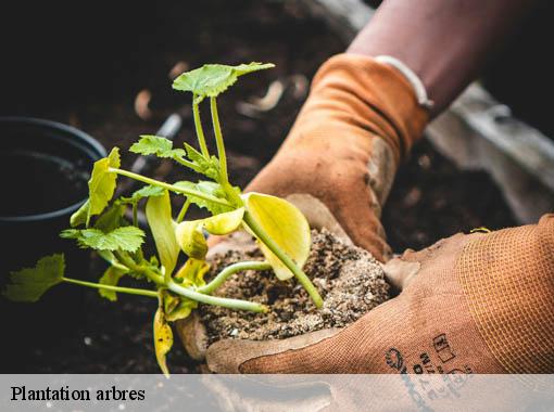 Plantation arbres glos-sur-risle-27290 Dawson espace verts