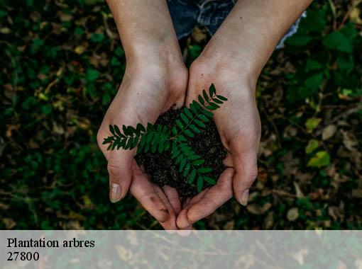 Plantation arbres hecmanville-27800 Dawson espace verts