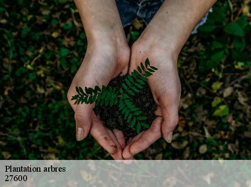 Plantation arbres saint-julien-de-la-liegue-27600 Dawson espace verts
