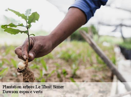 Plantation arbres le-thuit-simer-27370 Dawson espace verts