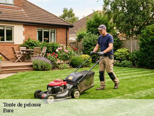 Tonte de pelouse 27 Eure  Dawson espace verts