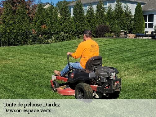 Tonte de pelouse  dardez-27930 Dawson espace verts