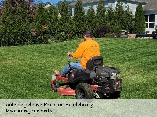 Tonte de pelouse fontaine-heudebourg-27490 Dawson espace verts