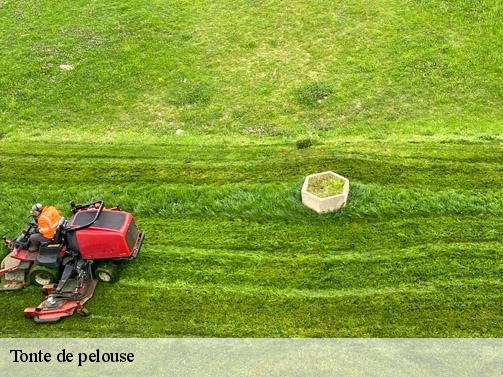 Tonte de pelouse foulbec-27210 Dawson espace verts