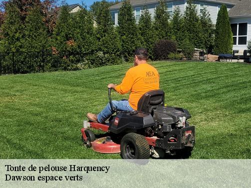 Tonte de pelouse harquency-27700 Dawson espace verts