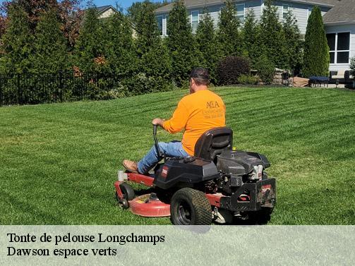 Tonte de pelouse longchamps-27150 Dawson espace verts