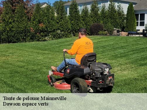 Tonte de pelouse mainneville-27150 Dawson espace verts