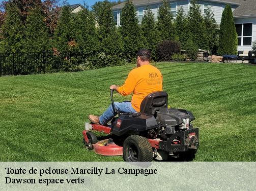 Tonte de pelouse  marcilly-la-campagne-27320 Dawson espace verts