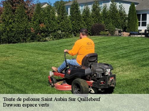 Tonte de pelouse saint-aubin-sur-quillebeuf-27680 Dawson espace verts