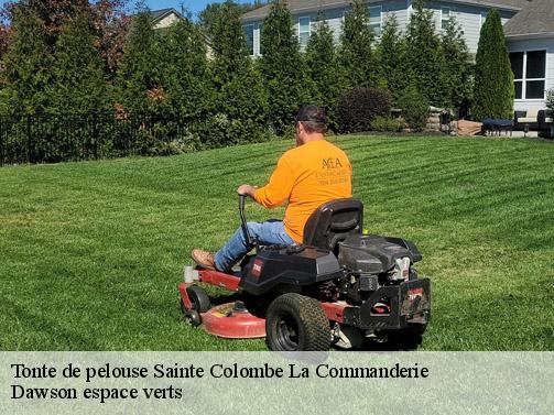 Tonte de pelouse sainte-colombe-la-commanderie-27110 Dawson espace verts